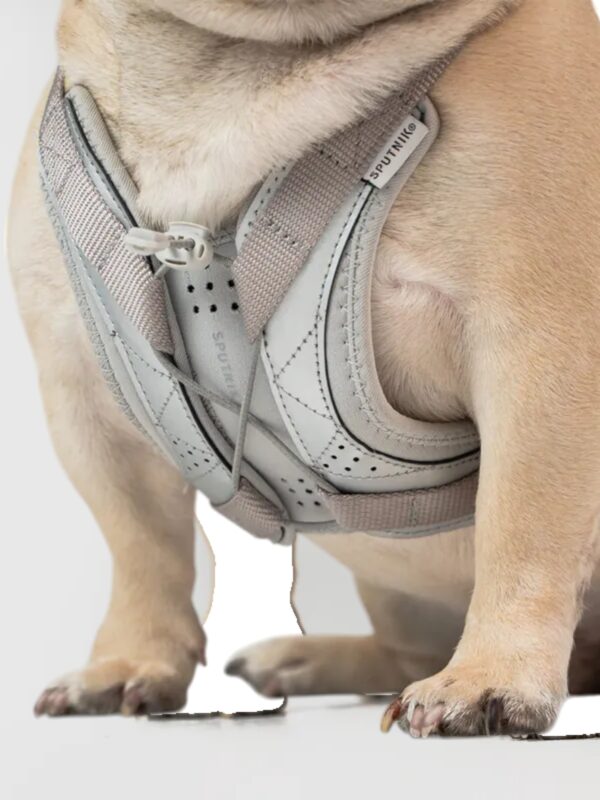 Ultra Explore Harness - Image 6