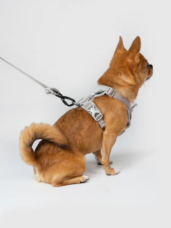 Ultra Explore Leash